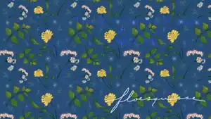 floesquisse.com illustration motif 02b.jpg